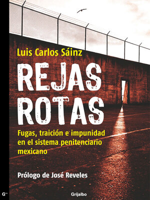 cover image of Rejas rotas